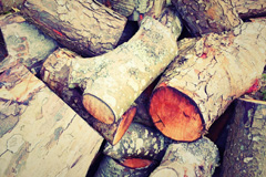 Lional wood burning boiler costs